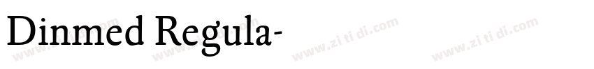 Dinmed Regula字体转换 Dinmed Regula字体转换